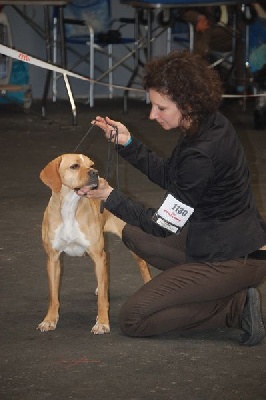 des chasseurs des grands pres - Expo de Toulouse