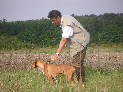 des chasseurs des grands pres - petites nouvelles d'abby