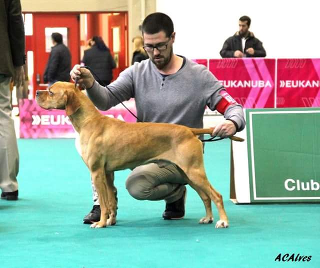 des chasseurs des grands pres - Champion du Portugal