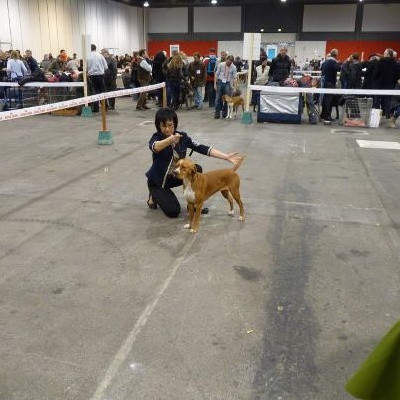 des chasseurs des grands pres - expo de Troyes