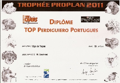 des chasseurs des grands pres - top perdigueiro portugues