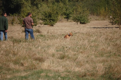 des chasseurs des grands pres - TAN