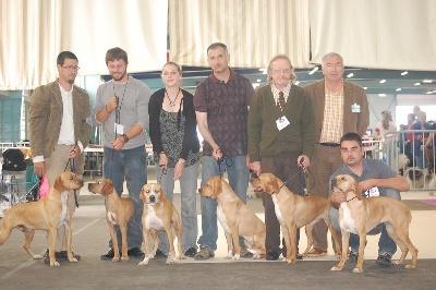 des chasseurs des grands pres - spéciale de Tours