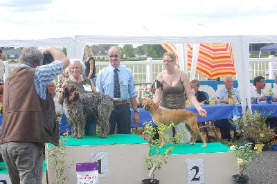 des chasseurs des grands pres - expo de Tours