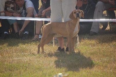 des chasseurs des grands pres - Spéciales de race 2011