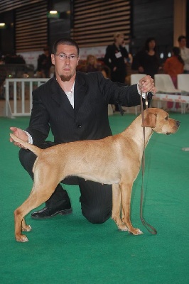 des chasseurs des grands pres - CHAMPIONNAT DE FRANCE