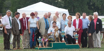 des chasseurs des grands pres - spéciale de race de romorantin