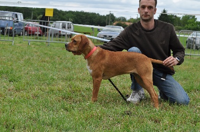 des chasseurs des grands pres - expo PÉRIGUEUX