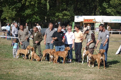 des chasseurs des grands pres - résultat de la national d'élevage