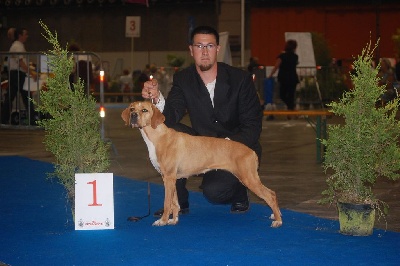 des chasseurs des grands pres - CH inter